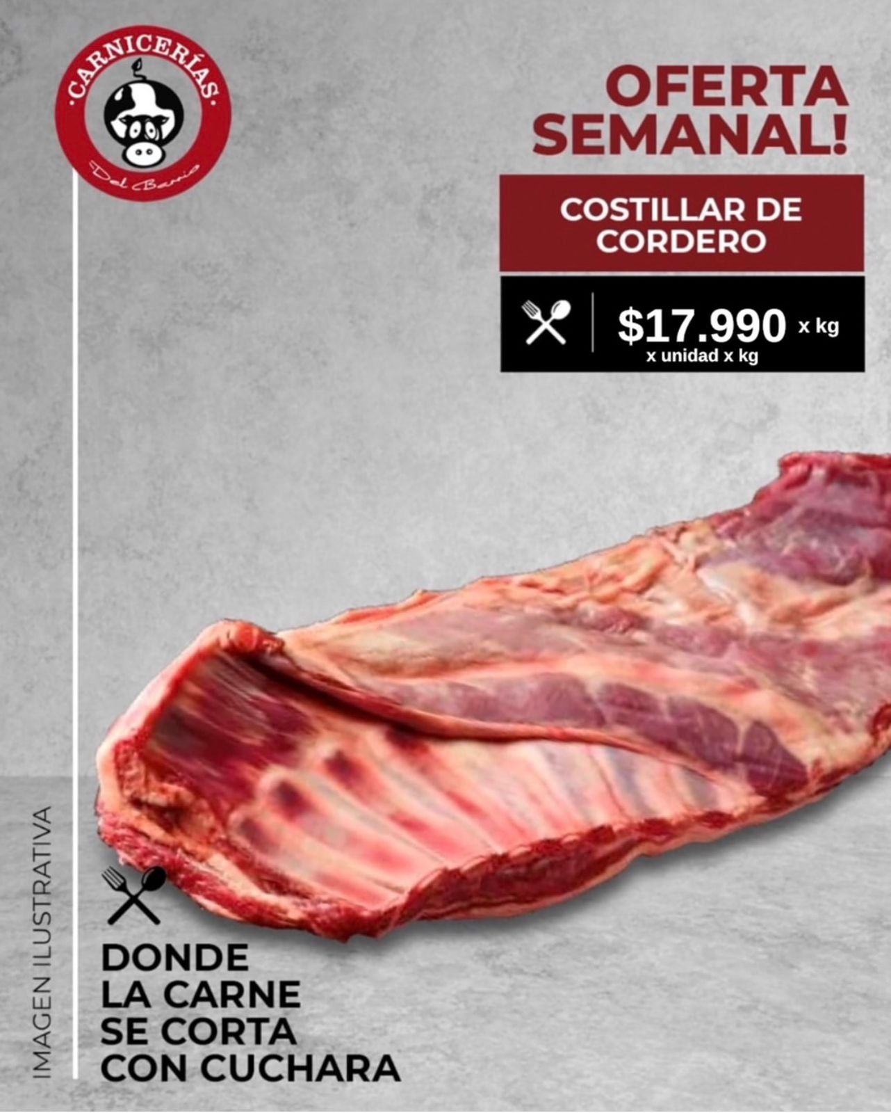 WhatsApp Image 2026-02-09 at 06.41.29 (1)